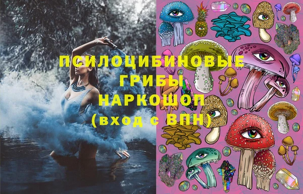МДПВ Остров