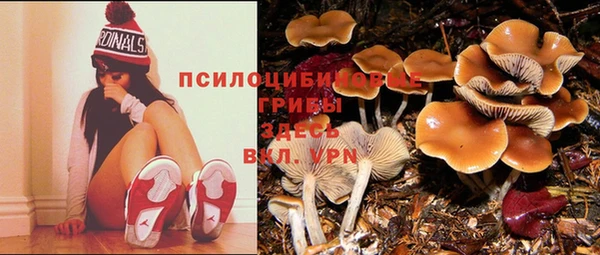 соль курить ск Армянск