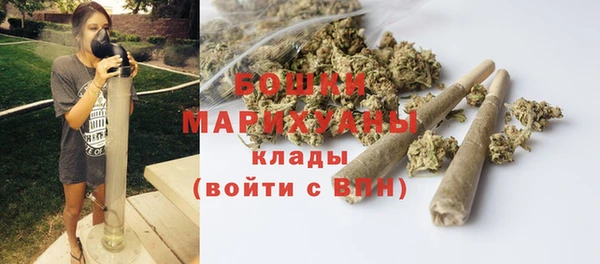 амф Арсеньев