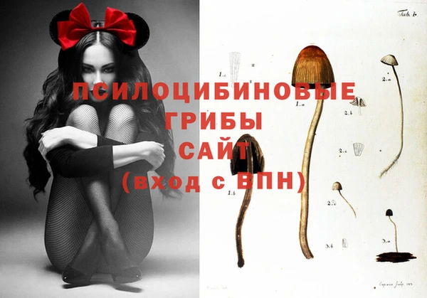амф Арсеньев