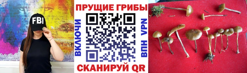 Псилоцибиновые грибы мухоморы купить Унеча