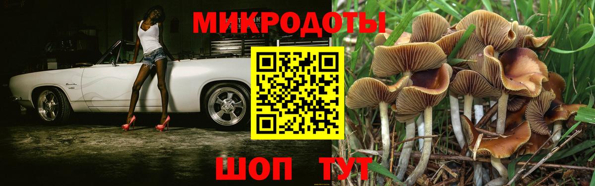 Псилоцибиновые грибы мухоморы  Вход с VPN  Унеча  Псилоцибиновые грибы Psilocybe 